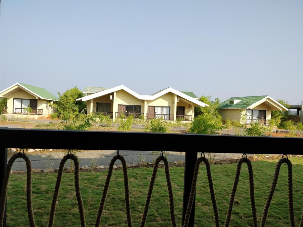 tadoba national park