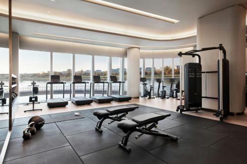 the st regis belgrade