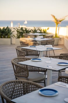 xvi suites