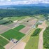 furano