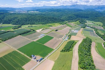 furano