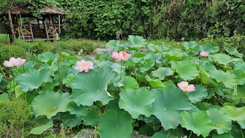 tiffany self check in hotel