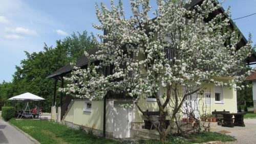 guesthouse kajfes