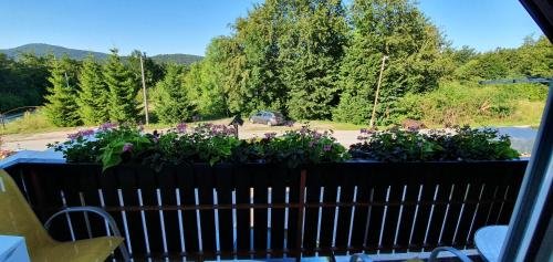 guesthouse kajfes