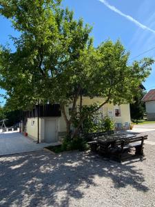 guesthouse kajfes
