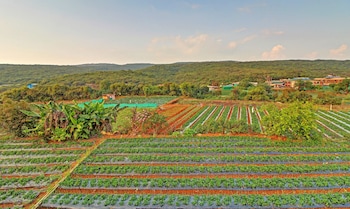 treebo berry hill venna lake 3 km from city center