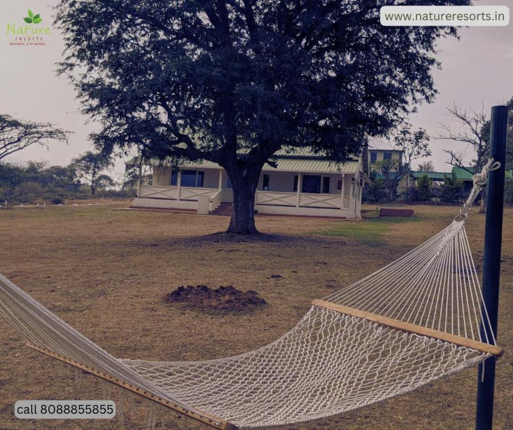 treebo trip pearls resorts