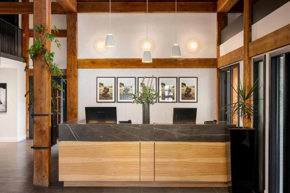 buffalo mountain lodge