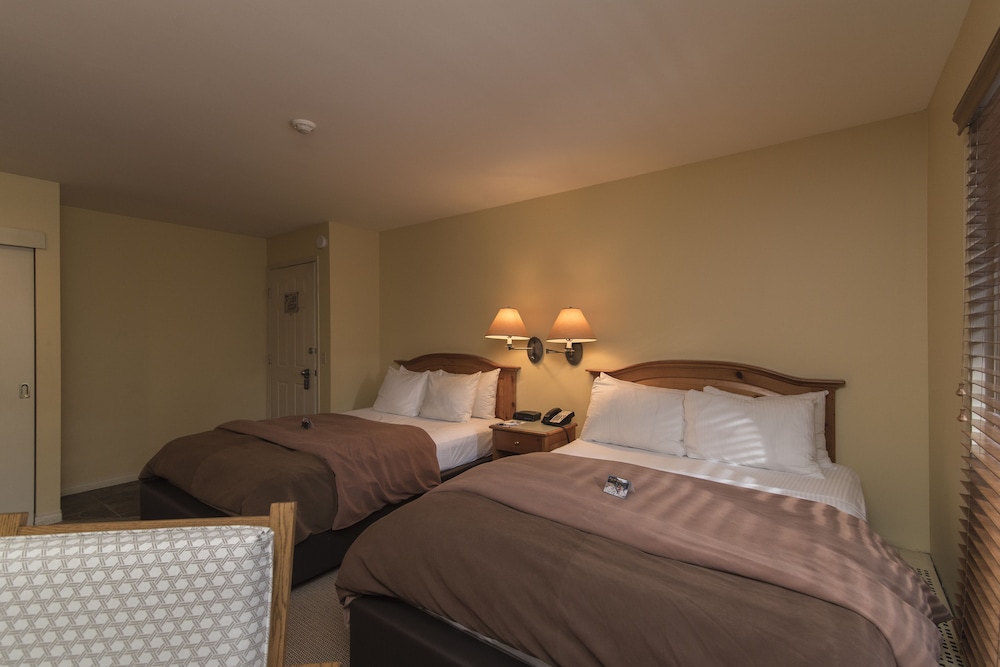 buffalo mountain lodge