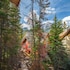 buffalo mountain lodge
