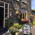 dolwyddelan