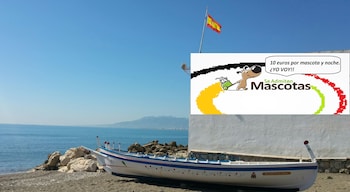 malaga