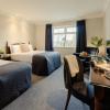 twin trees hotel