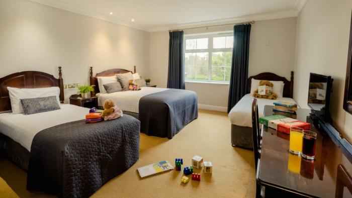 twin trees hotel