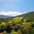 sao bento do sapucai