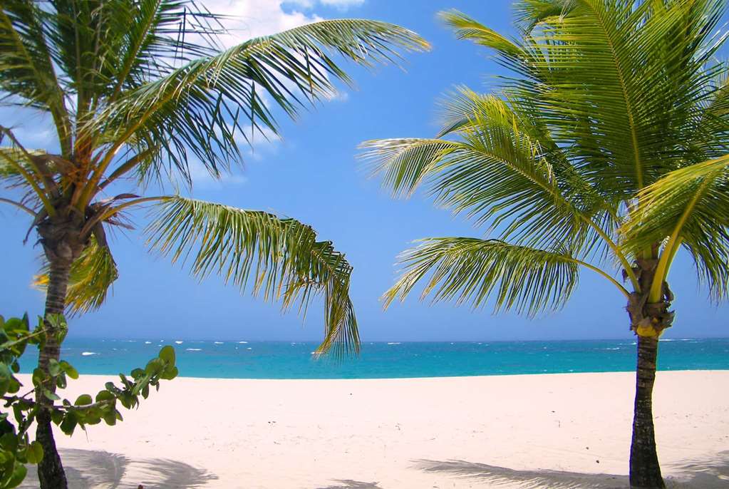 viva heavens by wyndham a trademark all inclusive