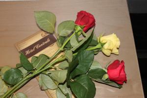 hotel centrale trieste