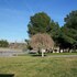camping de zaragoza