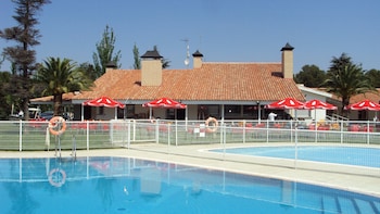 camping de zaragoza