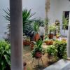 casa del regidor