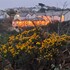 holyhead