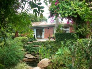 aziza guesthouse