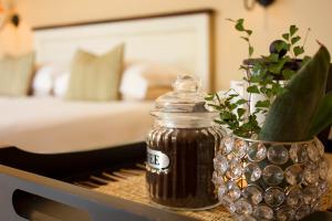 aziza guesthouse