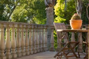 aziza guesthouse