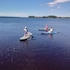sotkamo