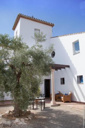 arriadh hotel