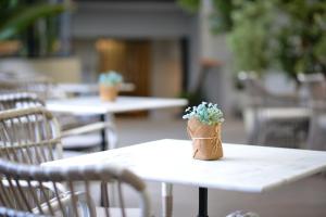 abloom exclusive serviced apartments