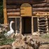 agriturismo le anfore