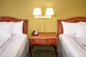 chicago lake shore hotel