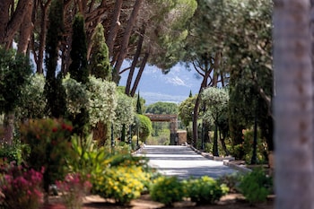 calvi