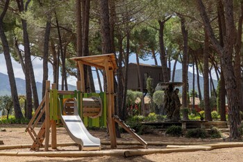 calvi