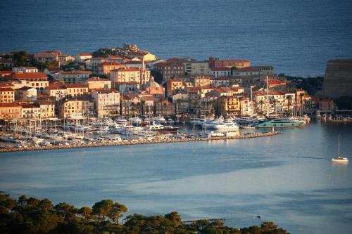 calvi