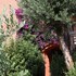 hotel castellverde