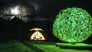 Wild Caribou Dome,,2 star