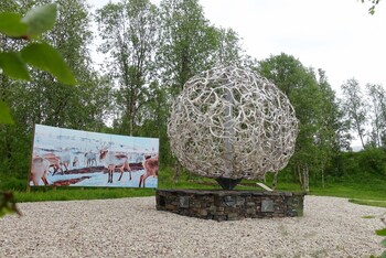Wild Caribou Dome,,2 star