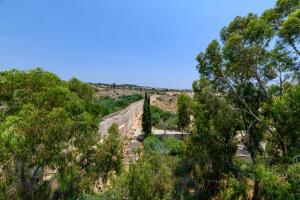 tasia maris oasis