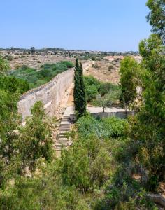 tasia maris oasis