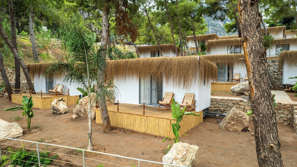 z villas