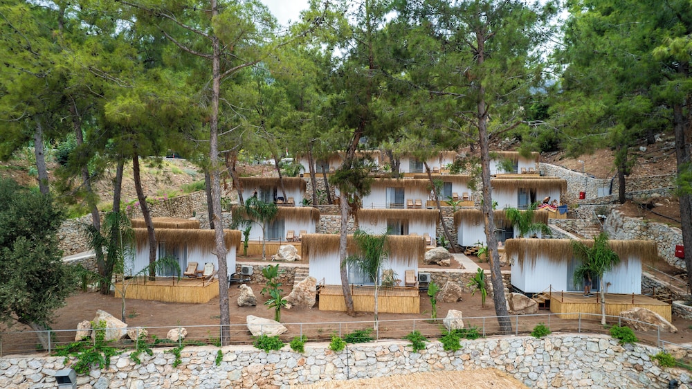 z villas