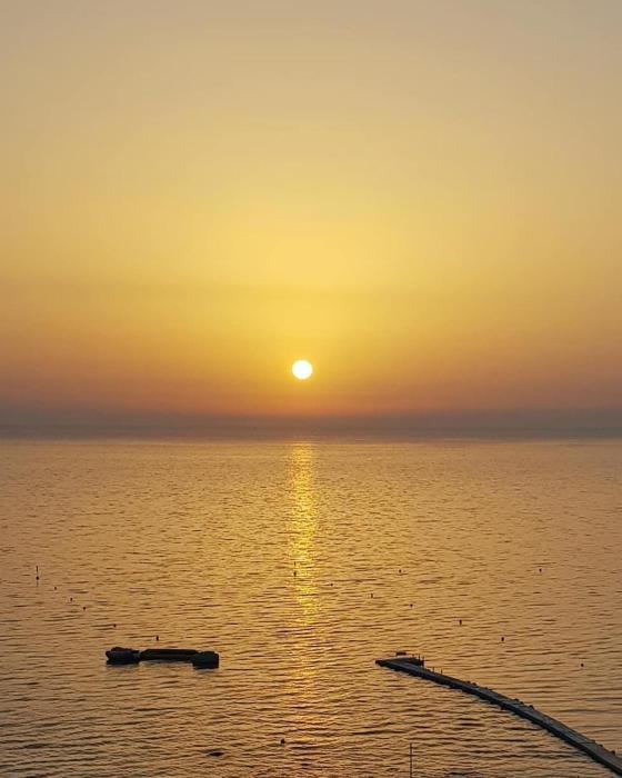 paralimni