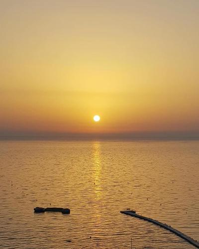 paralimni