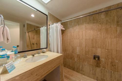 flamingo vallarta hotel and marina