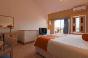 flamingo vallarta hotel and marina