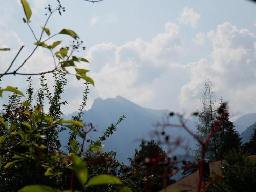 alpenhotel waidmannsheil