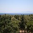 didim