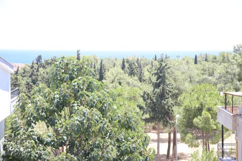 Aksel Butik Otel,,4 star